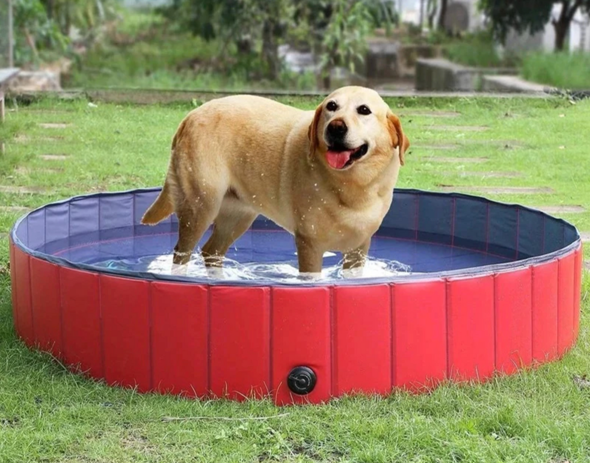 Foldable Pet Swimming Pool